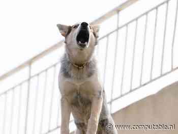 Eerste leden voor opvolger van Bureau ICT-toetsing