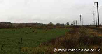 Why residents aren't happy about plans for 565 houses in Killingworth