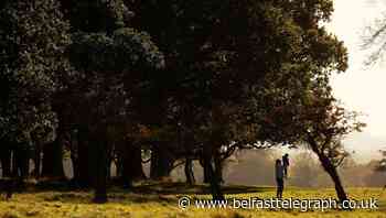 Traffic through Phoenix Park set to fall under proposals