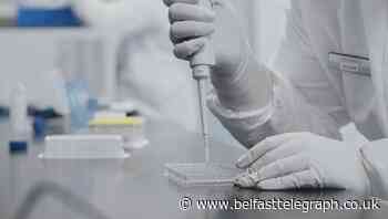 Moderna vaccine ‘expected in Ireland this week’