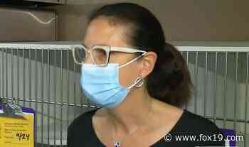 Ohio Arts Council member resigns after backlash from Facebook post about Kamala Harris, election - WXIX