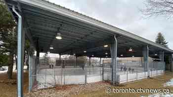 Mississauga man fights to save outdoor skating rink slated to be torn down
