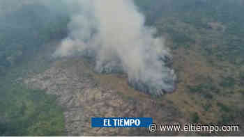 El impactante incendio que ha consumido 3.400 hectáreas en La Macarena - ElTiempo.com