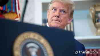 Barr, White House counsel told Trump not to self-pardon: report