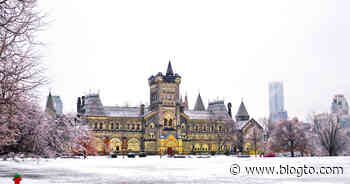 University of Toronto lands first on list of top sugar baby schools in Canada - blogTO