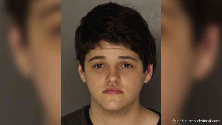 Brian Bartels, Man Accused Of Instigating Crowd During Pittsburgh Riot Seeking Probation