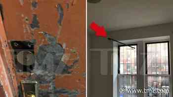 Miya Ponsetto Allegedly Trespassed and Damaged NYC Apartment Before Hotel Incident