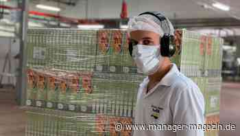 Frosta stößt in Markt für Veggie-Fisch vor: Pioniere im Boomgeschäft