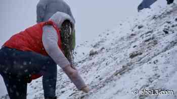 Snow in Houston: Several counties across the Texas area reported snow fall Sunday - KTRK-TV