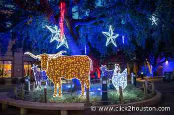 Final night of Houston Zoo Lights canceled due to inclement weather - KPRC Click2Houston