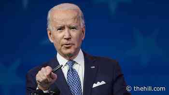 Biden pressured to include paid family leave in COVID relief package