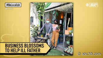 Plant shop blossoms from need and love