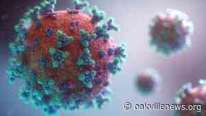 January 11th Coronavirus update for Oakville - Oakville News