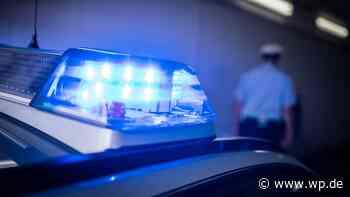 Neunkirchen/Wilnsdorf: Täter sägen Leitern von Hochsitzen an - WP News