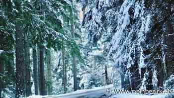 Winter in den Bergen: Winterpracht in den Wäldern der Buckligen Welt - meinbezirk.at