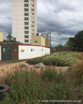 Covid-19: Lewisham Homes suspends work on Pepys Estate