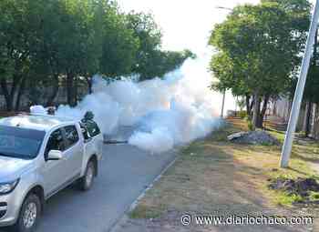 Chau Mosquito: el municipio realizó fumigación y descacharrado en Villa Progreso, del Parque y barrios aledaños - Diario Chaco