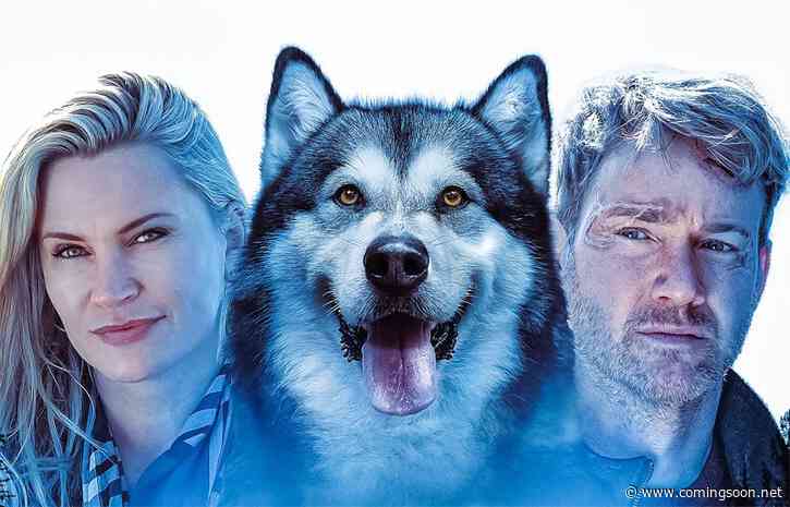 Exclusive Hero Dog Trailer Starring Natasha Henstridge