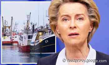 Brexit deal win as Brussels to announce emergency £500m package to bail out EU fishermen