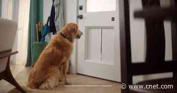 MyQ's smart doggy door can open at your pup's command video     - CNET
