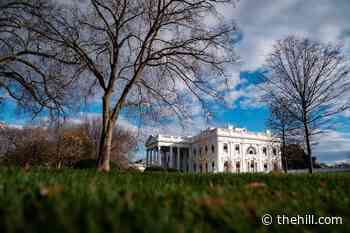White House establishes national artificial intelligence office