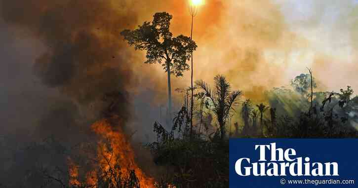 Top scientists warn of 'ghastly future of mass extinction' and climate disruption