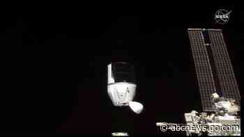 Cheers! French wine, vines headed home after year in space