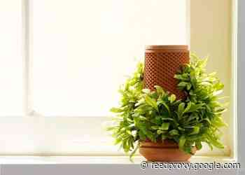 Terraplanter hydroponic unique indoor planter