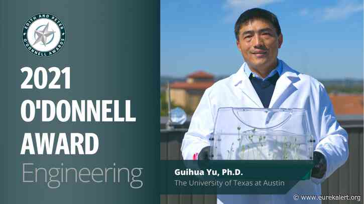 University of Texas researcher recognized for pioneering work utilizing nanotechno