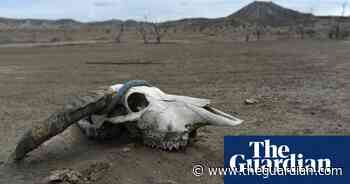 Philippines' Taal volcano, one year on – in pictures
