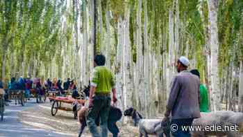 Government to limit UK business exposure to Xinjiang human rights issues