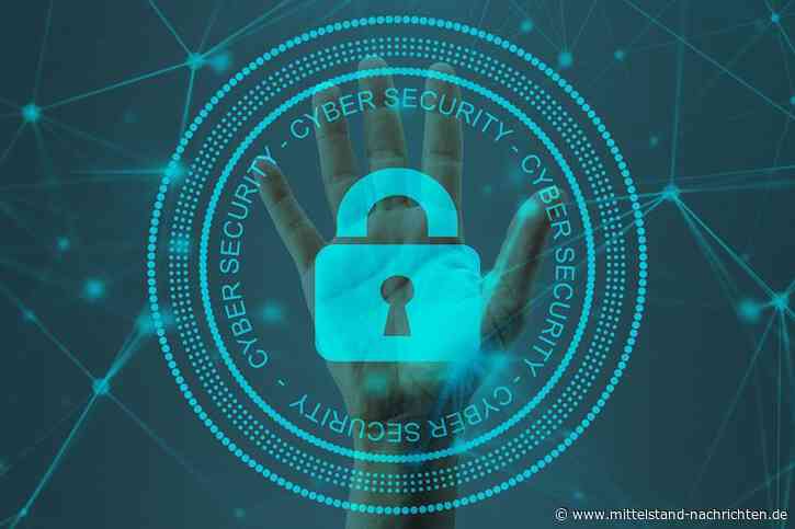 Vor unbefugtem Zugriff bewahren: Diese Daten-Schutzmaßnahmen helfen dabei