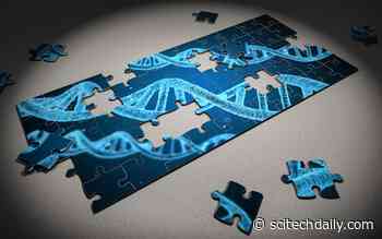 Genetic Diversity Project Adds Missing Pieces to Human Diversity Puzzle