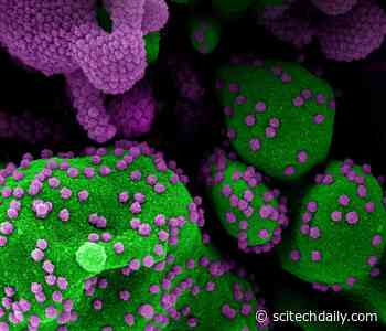 Large Clinical Trial Testing Combination Monoclonal Antibody Therapy for Mild/Moderate COVID-19