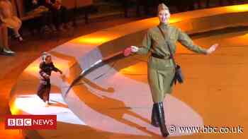 Investigation after 'Nazi monkey' appears in Russian circus