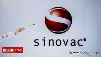 Sinovac: Brazil results show Chinese vaccine 50.4% effective