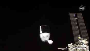 Cheers! French wine, vines headed home after year in space