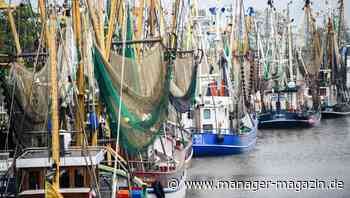 Brexit: Deutschland soll 455 Millionen Euro an Hilfsgeldern bekommen