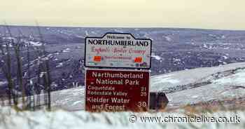 Northumberland covered in blanket of snow as Met Office issues amber warning