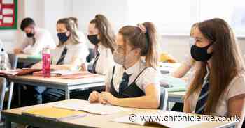 Headteacher admits 'we are making it up as we go along'