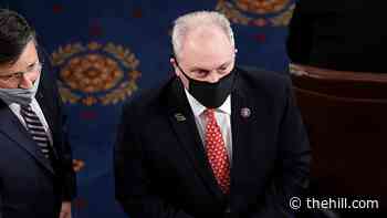 Scalise labels Capitol rioting 'domestic terrorism'