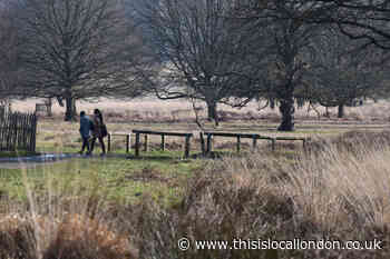 Coronavirus worries over visitors in Richmond Park