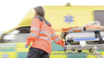 Three people taken to hospital after car plunges into Strangford Lough