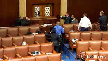 Reporter's essay: Capitol attack was a community invasion, not just an insurrection