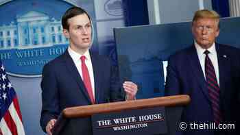 Kushner stopped Trump from joining Parler, Gab after Twitter ban: report