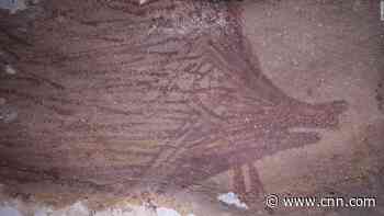 A warty pig painted on a cave wall 45,500 years ago is the world's oldest depiction of an animal
