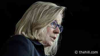House conservatives plot to oust Liz Cheney