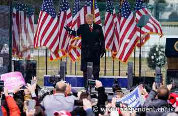 Trump ‘Save America Rally’ speech transcript from 6 January: The words the president could be impeached for
