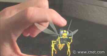 Holograms for your phone: How second screens could share 3D AR in 2021     - CNET