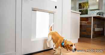 Who let the dogs out? The MyQ Pet Portal smart doggie door did     - CNET